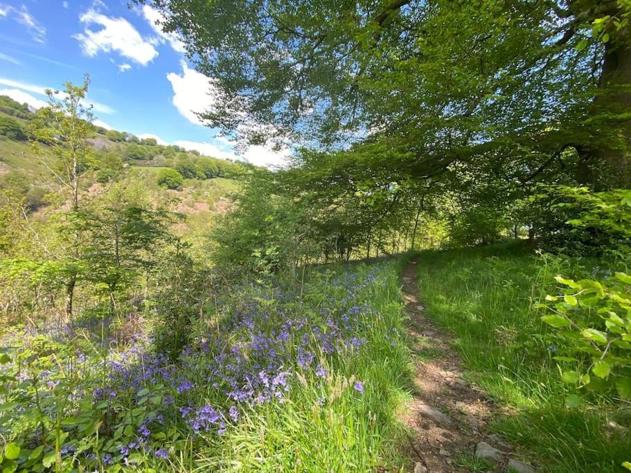 The Crest Hillside Retreat With Hot Tub Villa Abertillery Luaran gambar